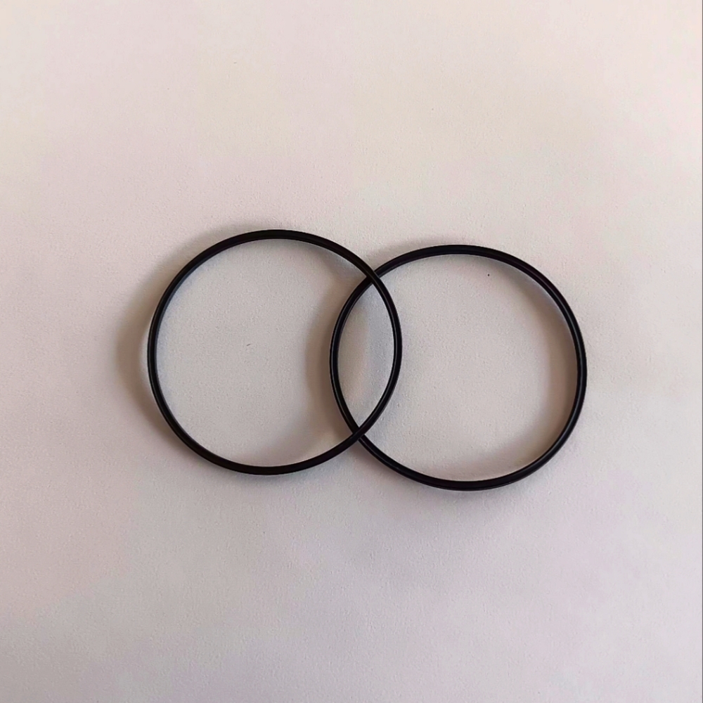 2 pack Hayward O ring replacement W530 W560